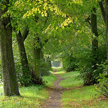 Coaching Wellness mokuawai